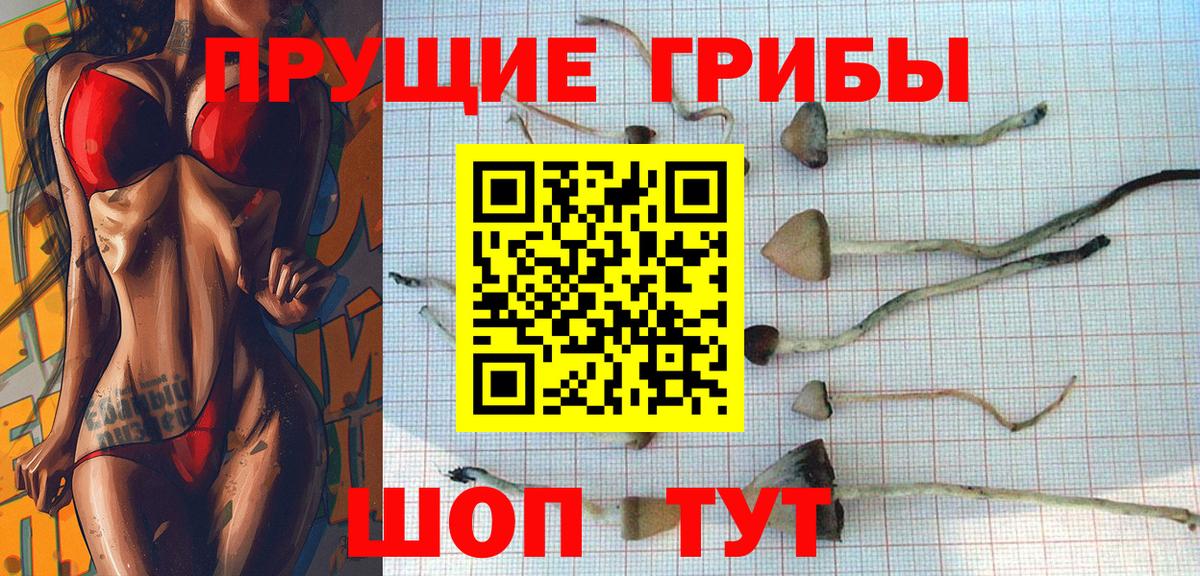 наркотики  Вход с VPN  Пугачёв  Галлюциногенные грибы GOLDEN TEACHER 