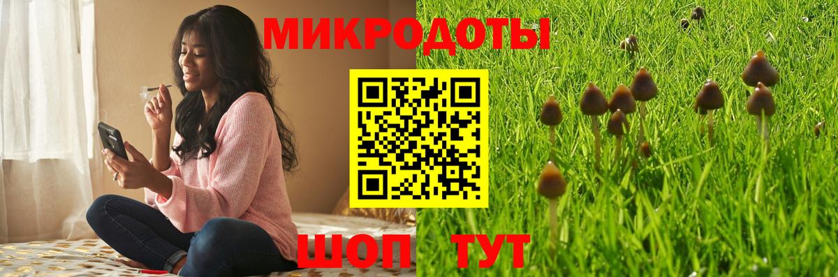 Галлюциногенные грибы MAGIC MUSHROOMS Пугачёв